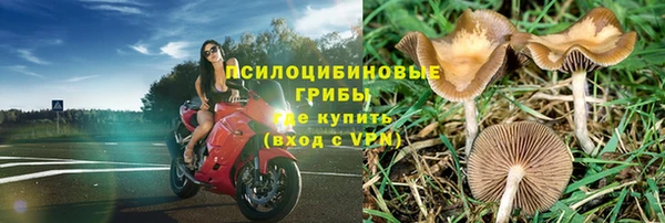 гидра Абаза