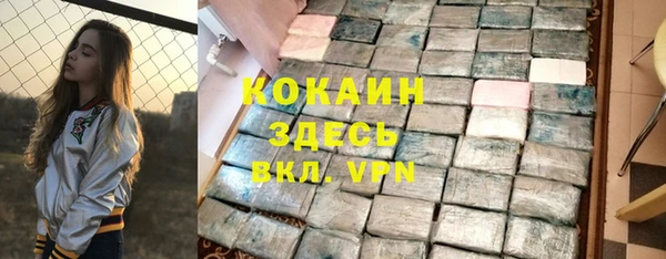 гидра Абаза