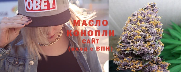 гидра Абаза