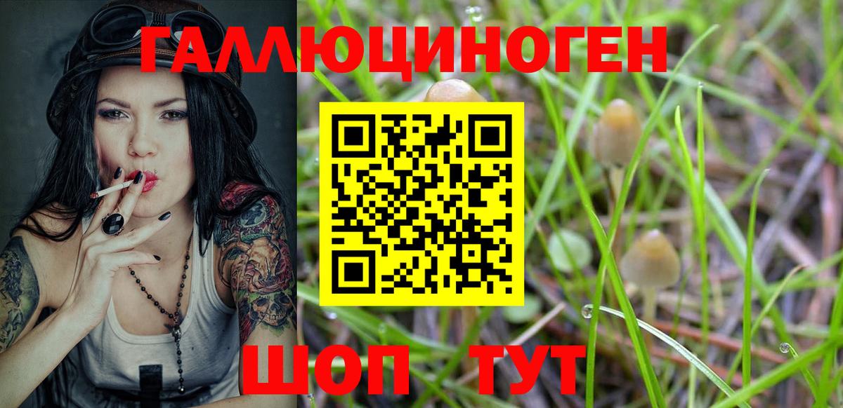 Псилоцибиновые грибы мицелий Смоленск